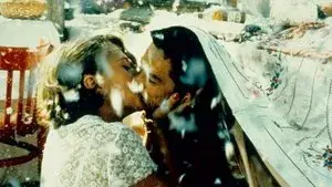 Black Cat, White Cat