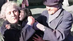 Land of Silence and Darkness