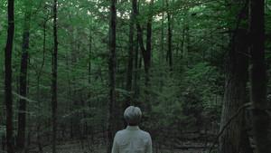 Ryuichi Sakamoto: Coda