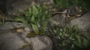 Accidental Host: The Story of Rat Lungworm Disease