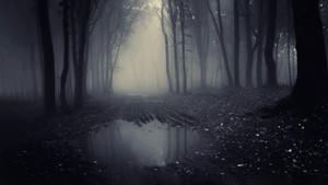 A Lenda do Homem Pássaro