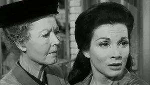 The Case of the Barefaced Witness