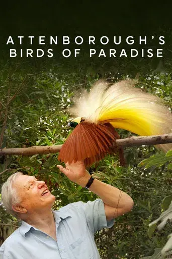 Birds of Paradise