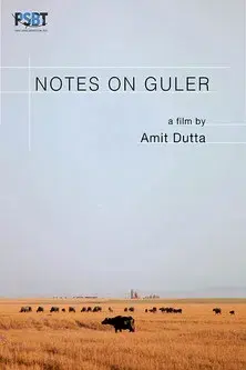 Notes on Guler