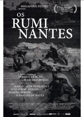 Os Ruminantes