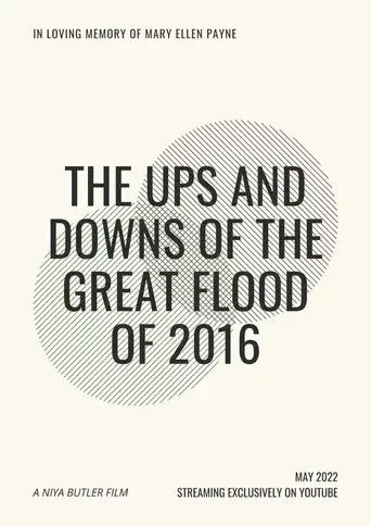The Ups and Downs of the Great Flood of 2016