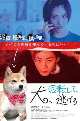 Dog Turns and Runs Away