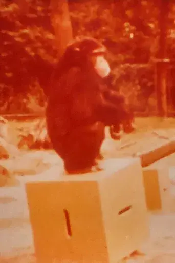 Zielgerichtetes Handeln bei Menschenaffen