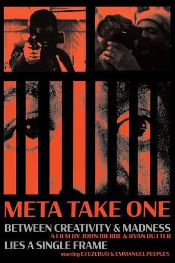 Meta Take One