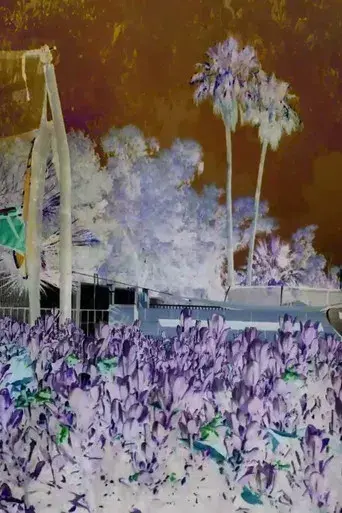 Revisited Remunerations Rapturously Collapse When Recompensed