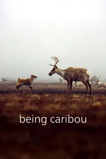 Being Caribou