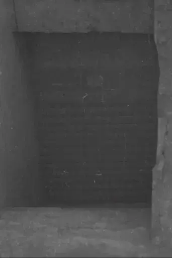 Tut-ankh Amen's Tomb (Daily Sketch Topical Budget 600-1)