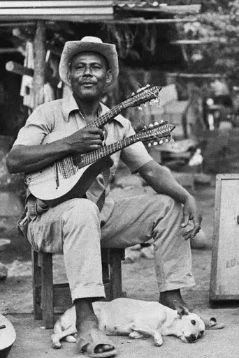 El rey del bandolín