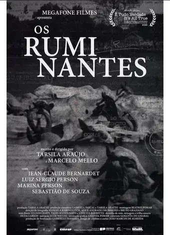 Os Ruminantes