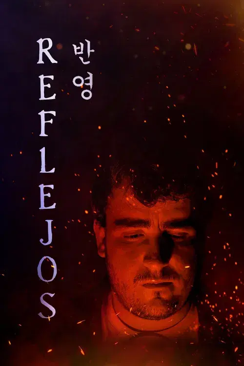 Reflections (반영)