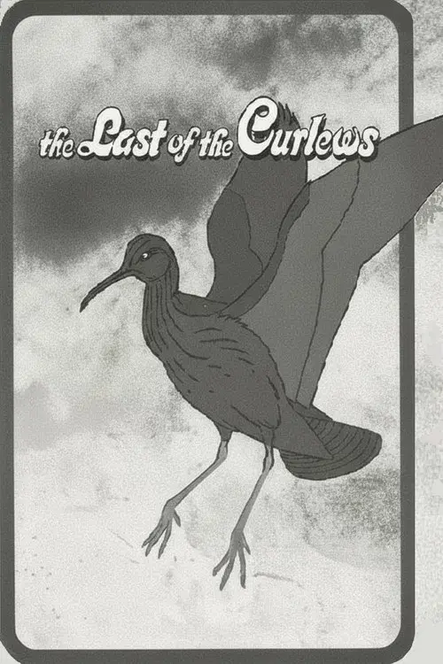 The Last of the Curlews