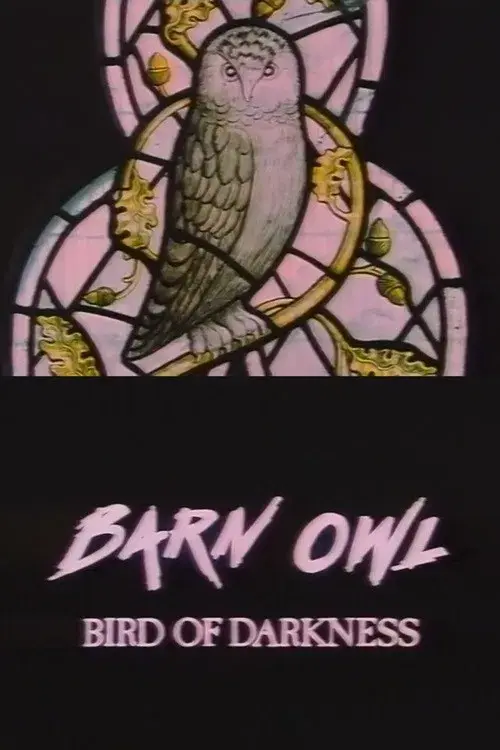 Barn Owl: Bird of Darkness