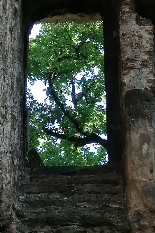 The Ruins of Seyssuel's Castle