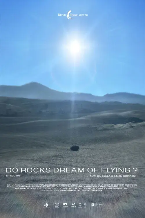 Do Rocks Dream of Flying ?