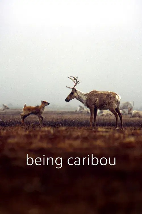 Being Caribou